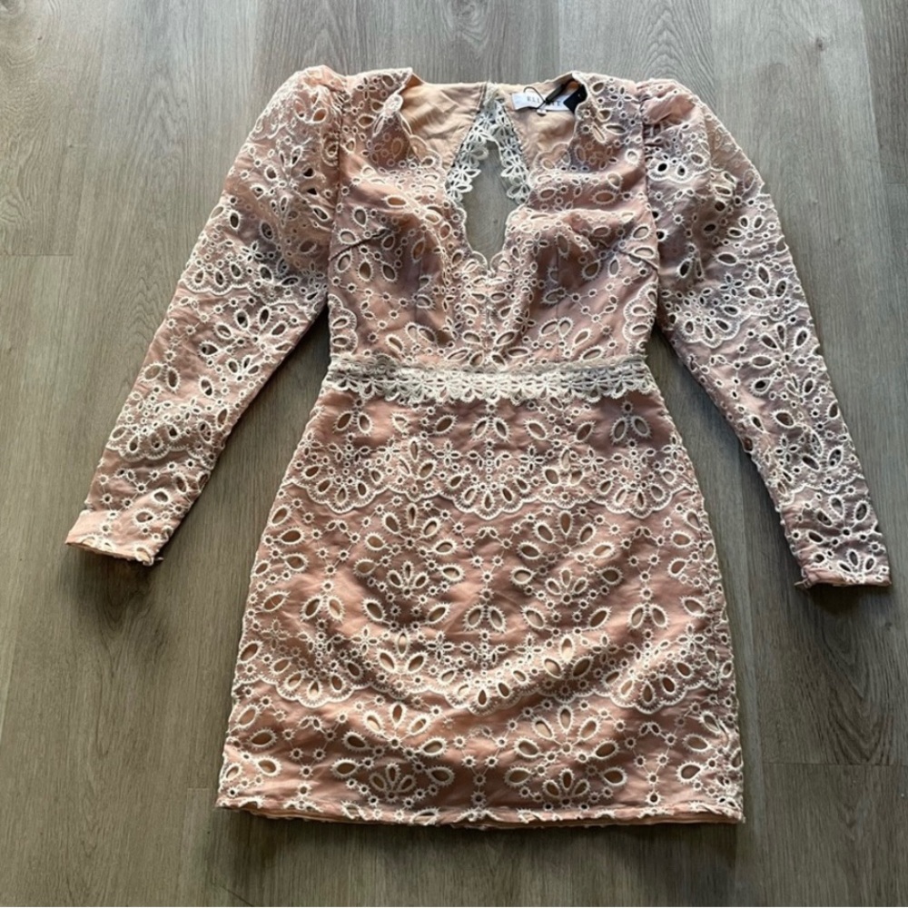 elliatt lycurgus blush pink lace embroidered long sleeve mini dress size small
